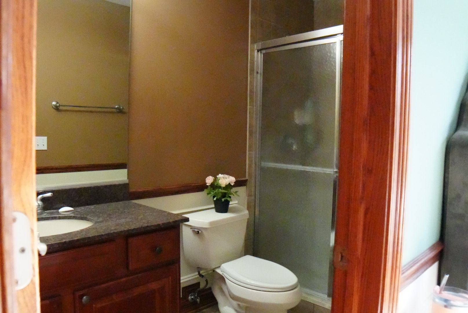 11759 Azure Drive Frankfort, IL 60423 - Photo 31 of 49