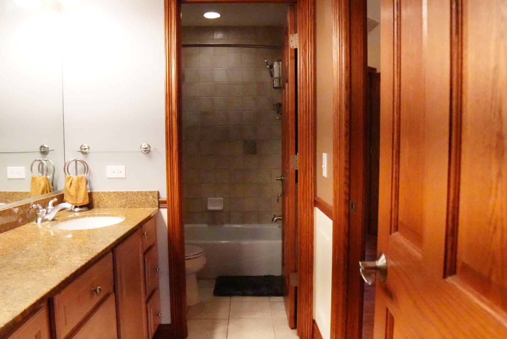 11759 Azure Drive Frankfort, IL 60423 - Photo 36 of 49