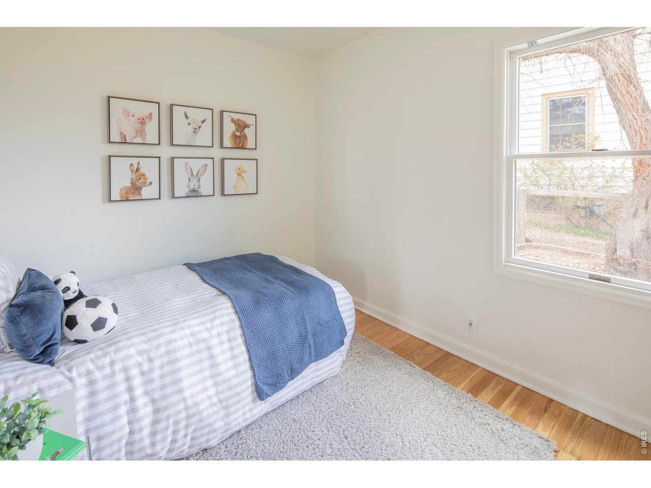 2447 20th Street Boulder, CO 80304 - Photo 13 of 38