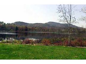 50 Patch Pond Road, Unit 10 Ossipee, NH 03814 - Photo 8 of 9 Gallery Image 8