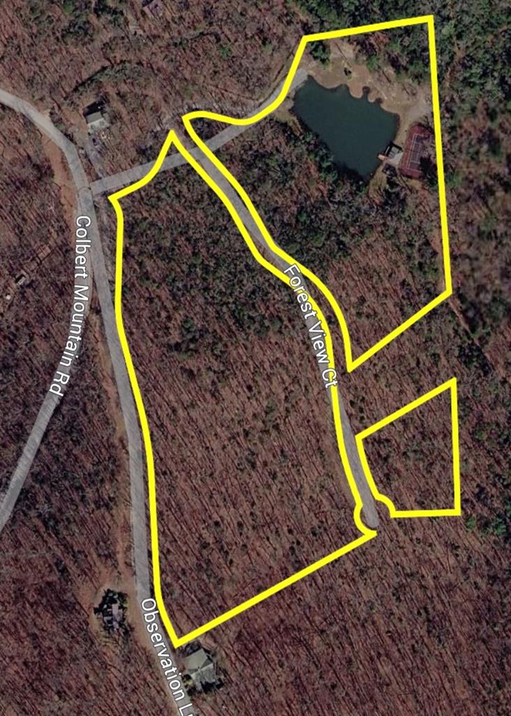 260 Observation Lane Blue Ridge, GA 30513 - Photo 103 of 103