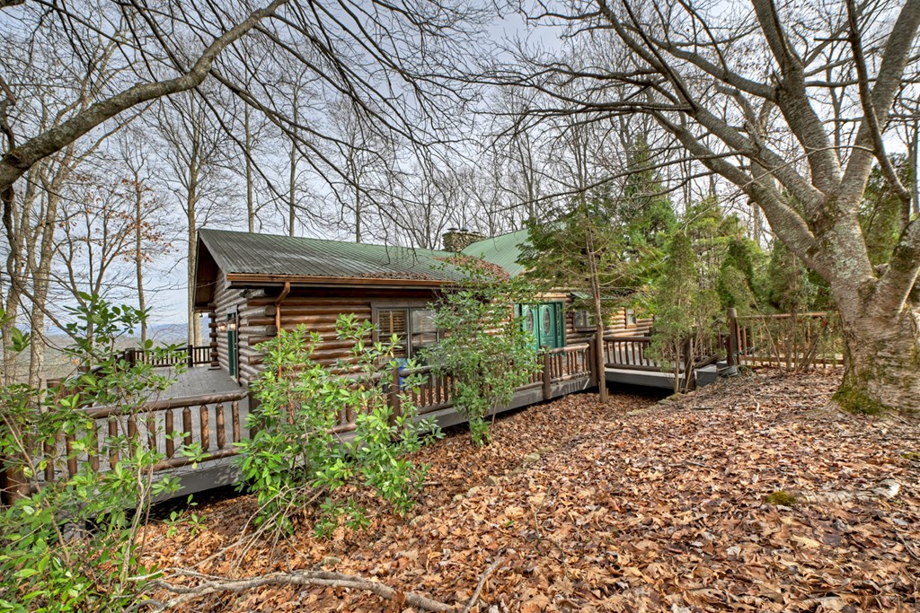 260 Observation Lane Blue Ridge, GA 30513 - Photo 11 of 100