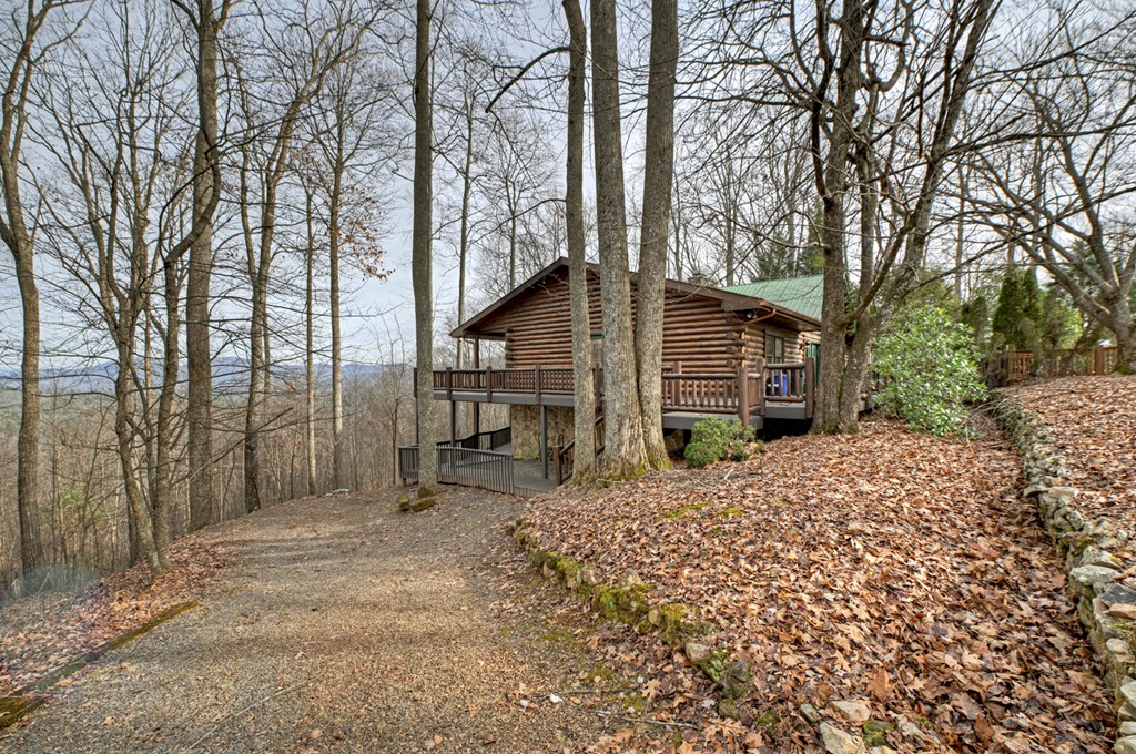 260 Observation Lane Blue Ridge, GA 30513 - Photo 12 of 100 a wooden house with trees in front of it