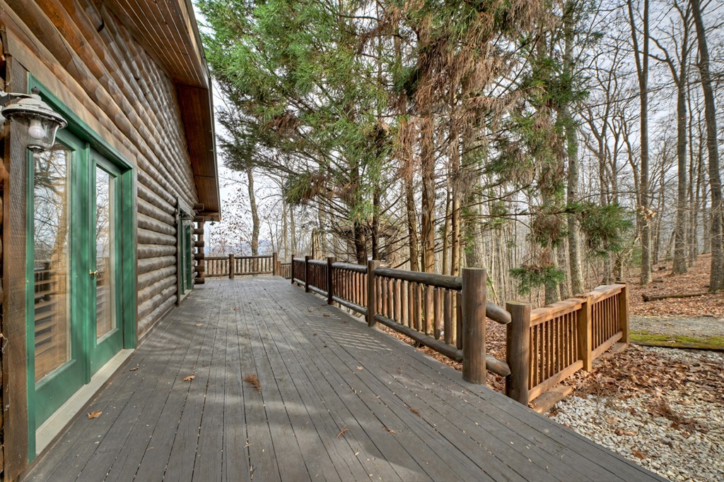 260 Observation Lane Blue Ridge, GA 30513 - Photo 14 of 100