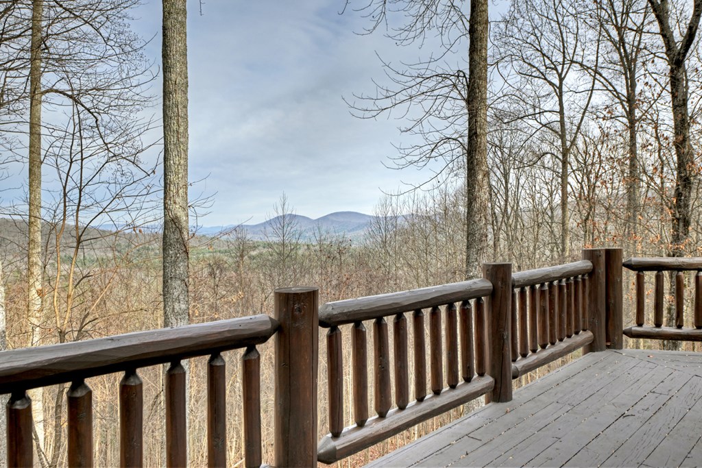 260 Observation Lane Blue Ridge, GA 30513 - Photo 21 of 100