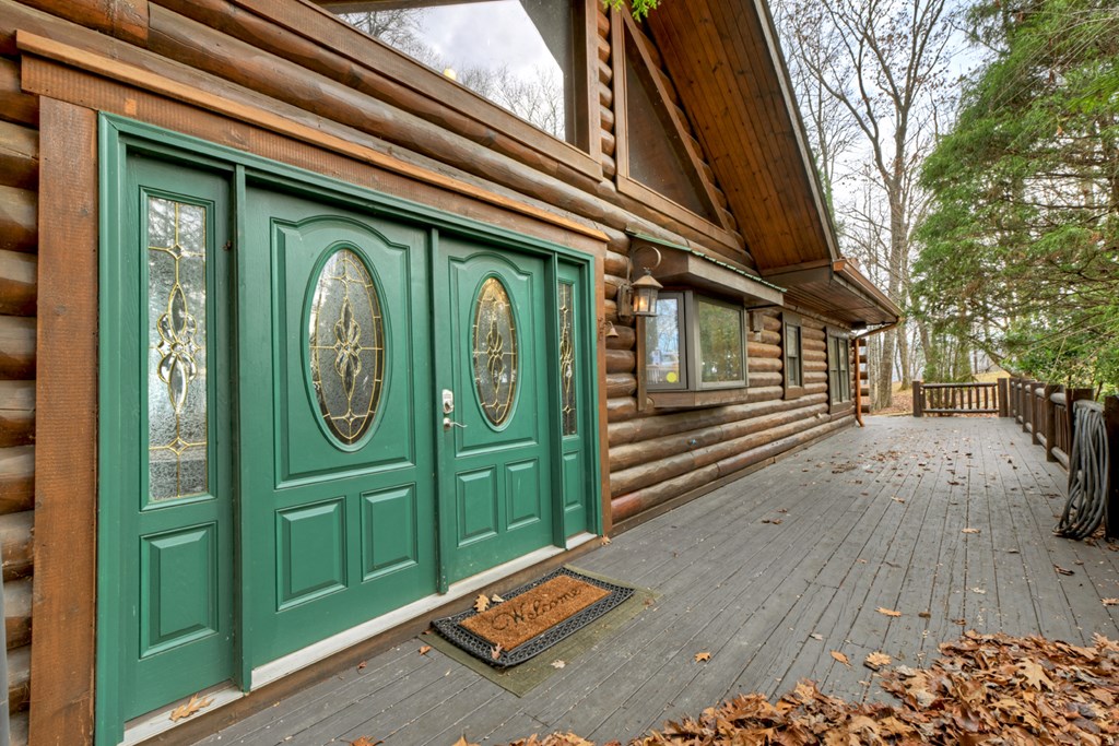 260 Observation Lane Blue Ridge, GA 30513 - Photo 24 of 100