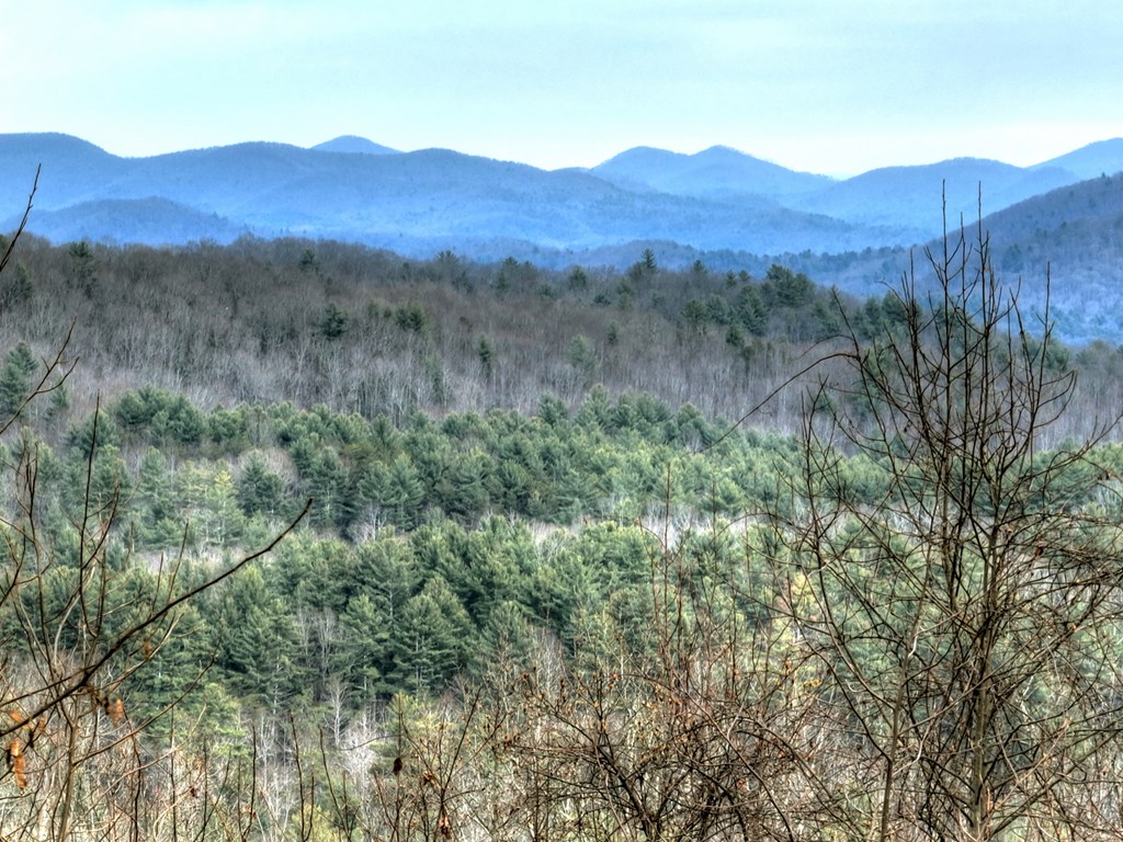 260 Observation Lane Blue Ridge, GA 30513 - Photo 3 of 100 a view of a lush green hillside and a mountain