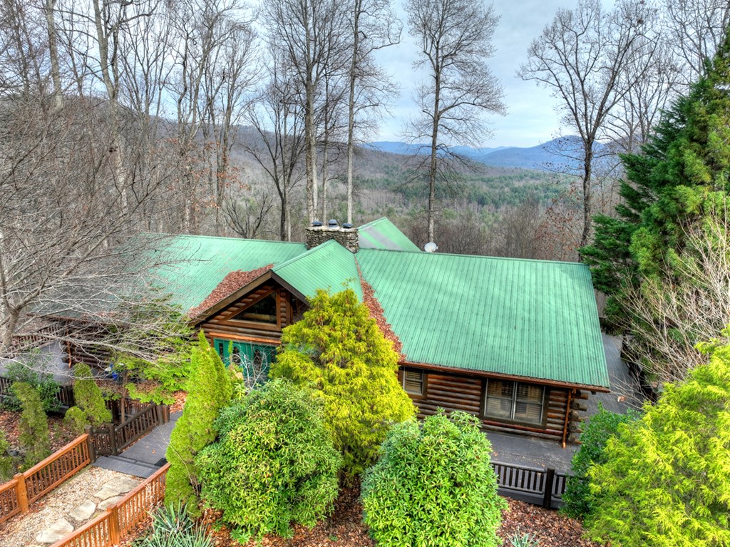 260 Observation Lane Blue Ridge, GA 30513 - Photo 4 of 100
