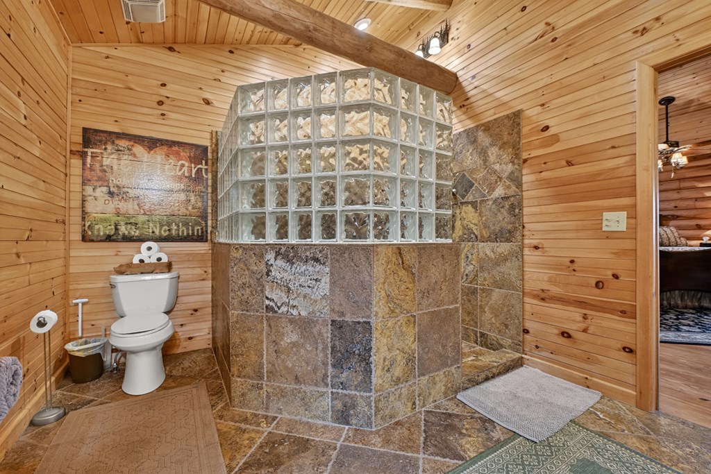 260 Observation Lane Blue Ridge, GA 30513 - Photo 46 of 100 a bathroom with a toilet and a shower