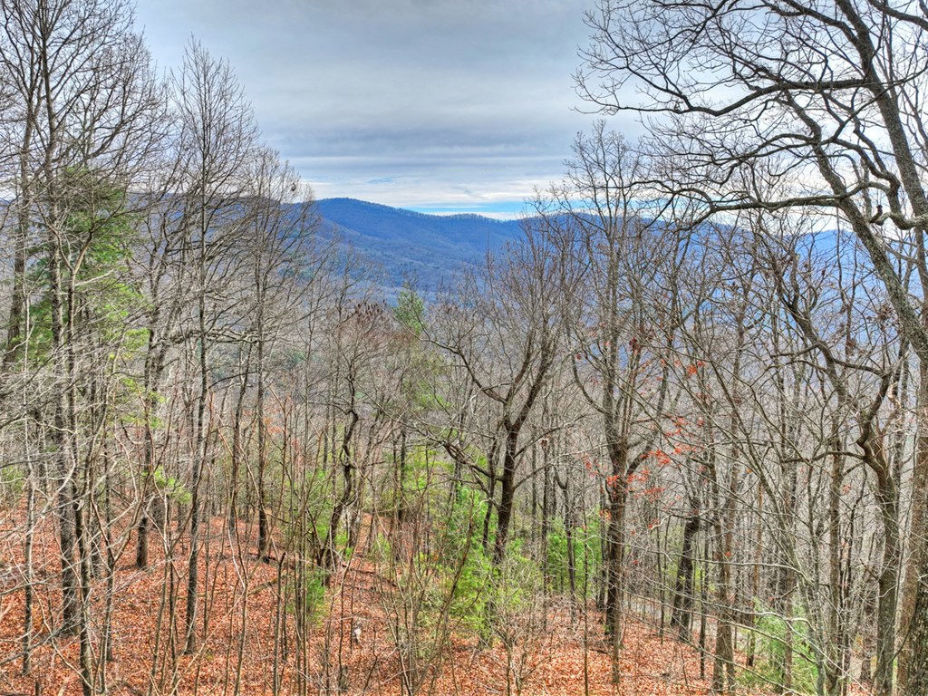 260 Observation Lane Blue Ridge, GA 30513 - Photo 6 of 100 a view of a yard of the house