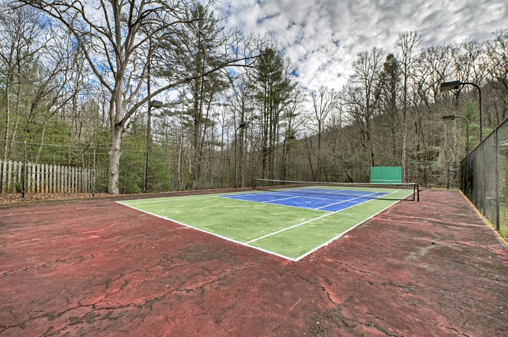 260 Observation Lane Blue Ridge, GA 30513 - Photo 65 of 100 a view of a tennis court