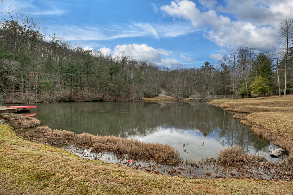 260 Observation Lane Blue Ridge, GA 30513 - Photo 66 of 100
