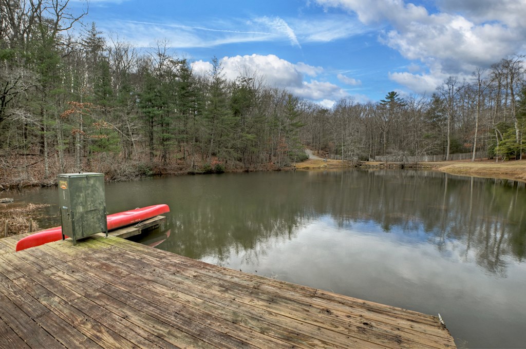 260 Observation Lane Blue Ridge, GA 30513 - Photo 68 of 100