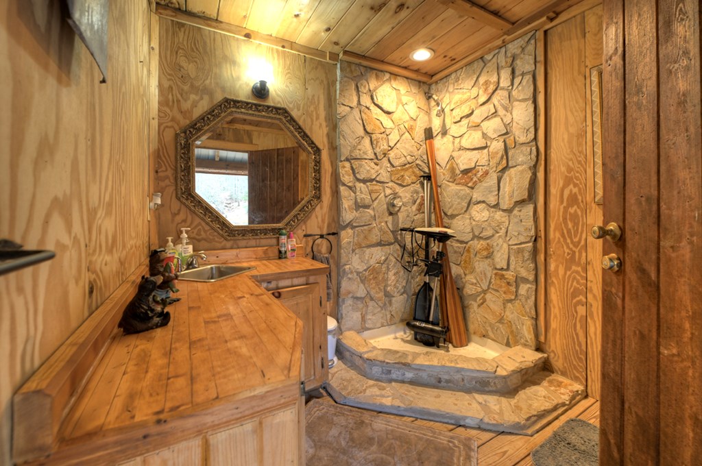 260 Observation Lane Blue Ridge, GA 30513 - Photo 70 of 100