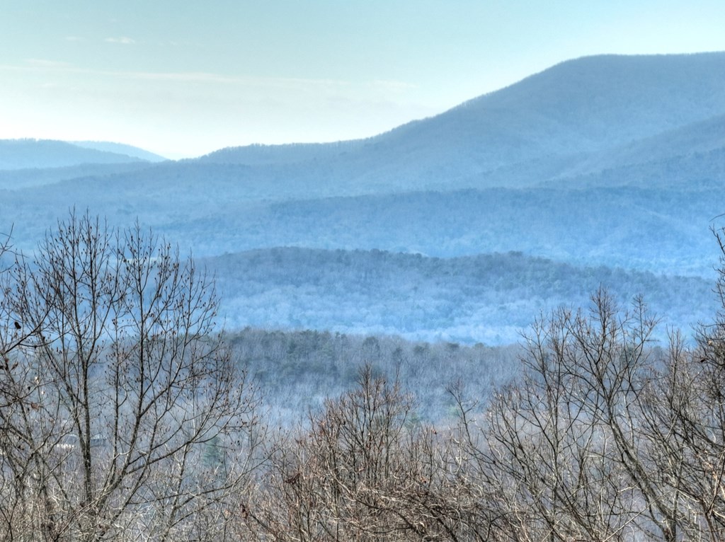 260 Observation Lane Blue Ridge, GA 30513 - Photo 7 of 100 a view of a dry yard with mountains in the background