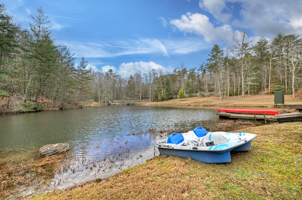 260 Observation Lane Blue Ridge, GA 30513 - Photo 73 of 100