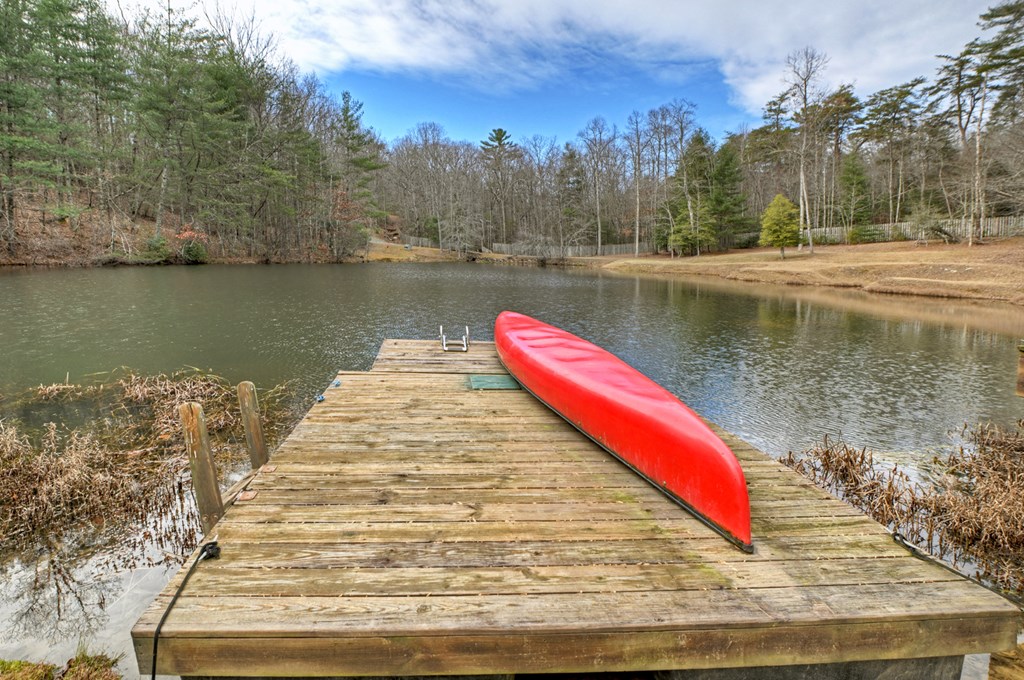 260 Observation Lane Blue Ridge, GA 30513 - Photo 74 of 100