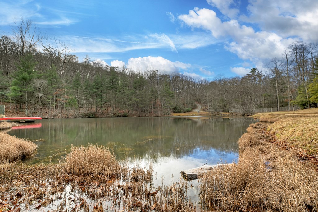 260 Observation Lane Blue Ridge, GA 30513 - Photo 75 of 100