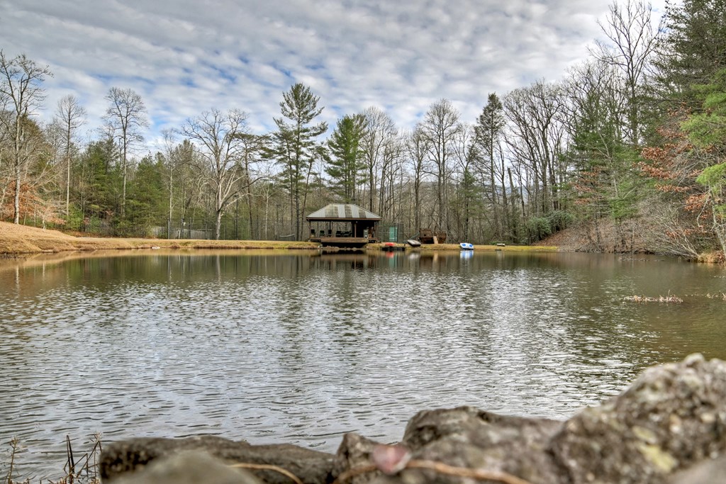 260 Observation Lane Blue Ridge, GA 30513 - Photo 76 of 100