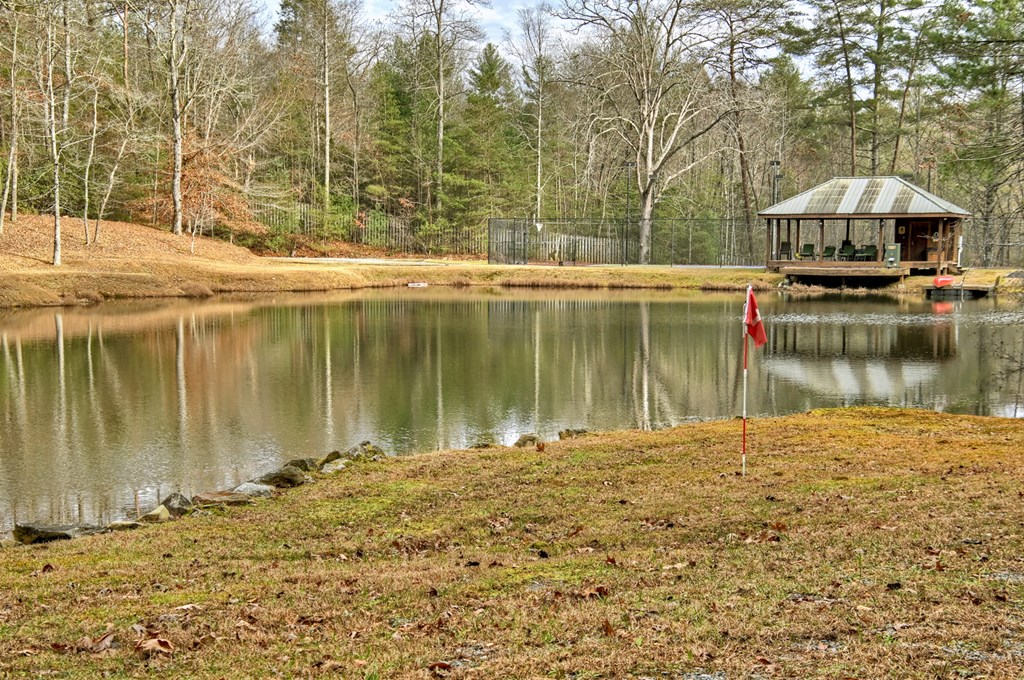 260 Observation Lane Blue Ridge, GA 30513 - Photo 78 of 100 a view of a lake with a yard and mountain