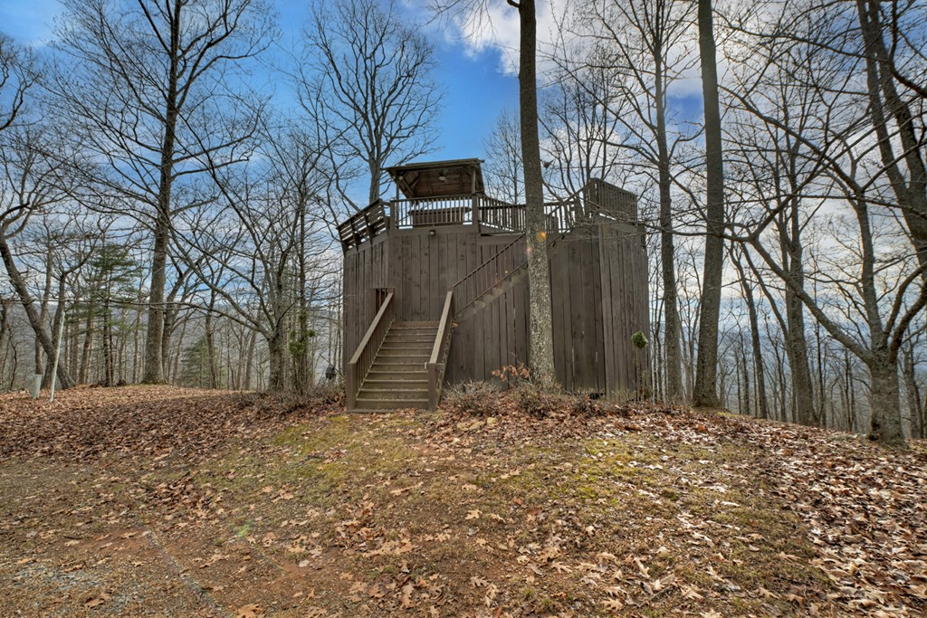 260 Observation Lane Blue Ridge, GA 30513 - Photo 79 of 100