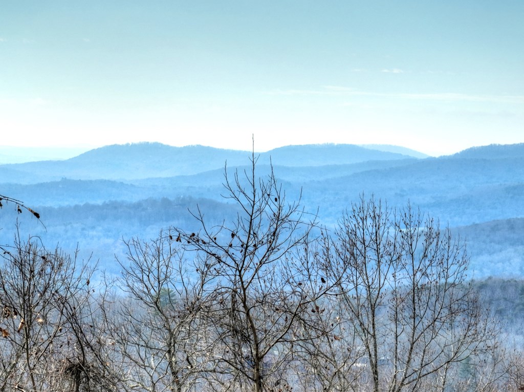 260 Observation Lane Blue Ridge, GA 30513 - Photo 8 of 100