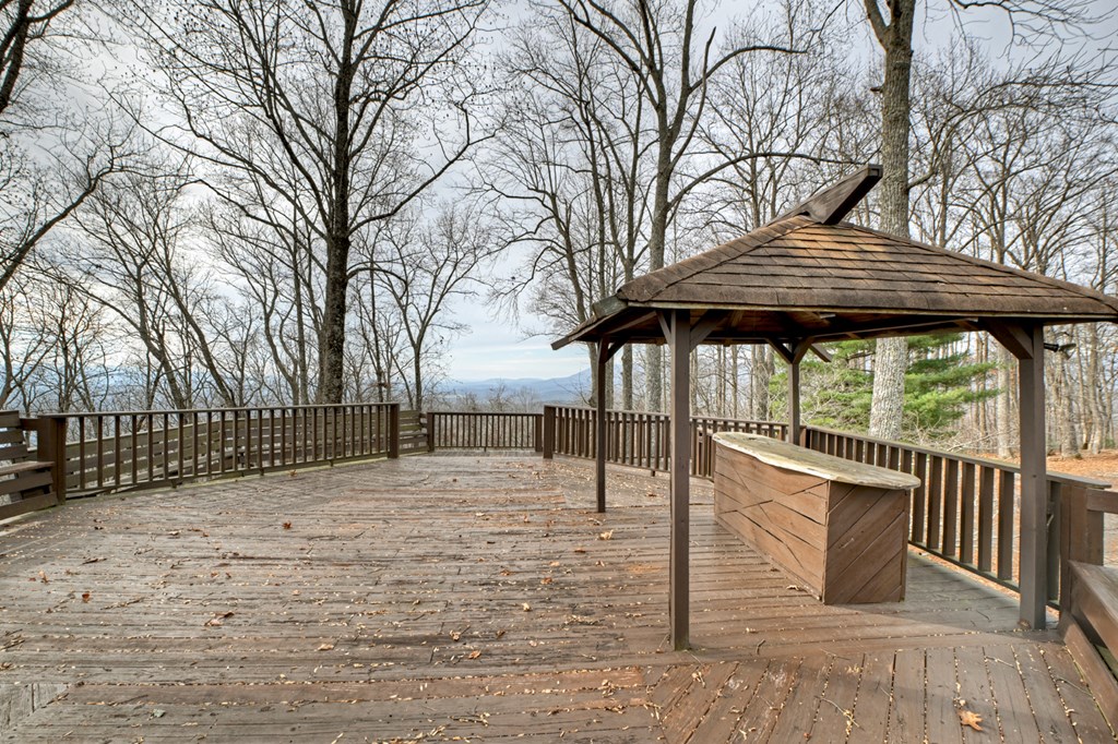 260 Observation Lane Blue Ridge, GA 30513 - Photo 82 of 100