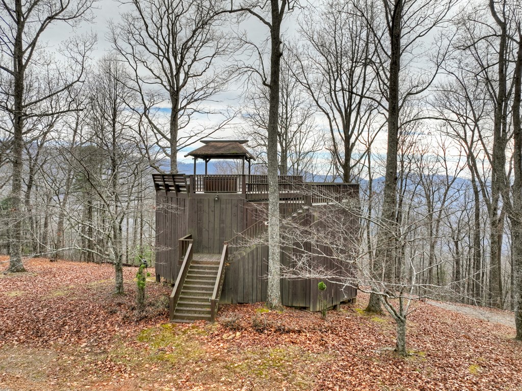 260 Observation Lane Blue Ridge, GA 30513 - Photo 83 of 100 a front view of a house with a yard