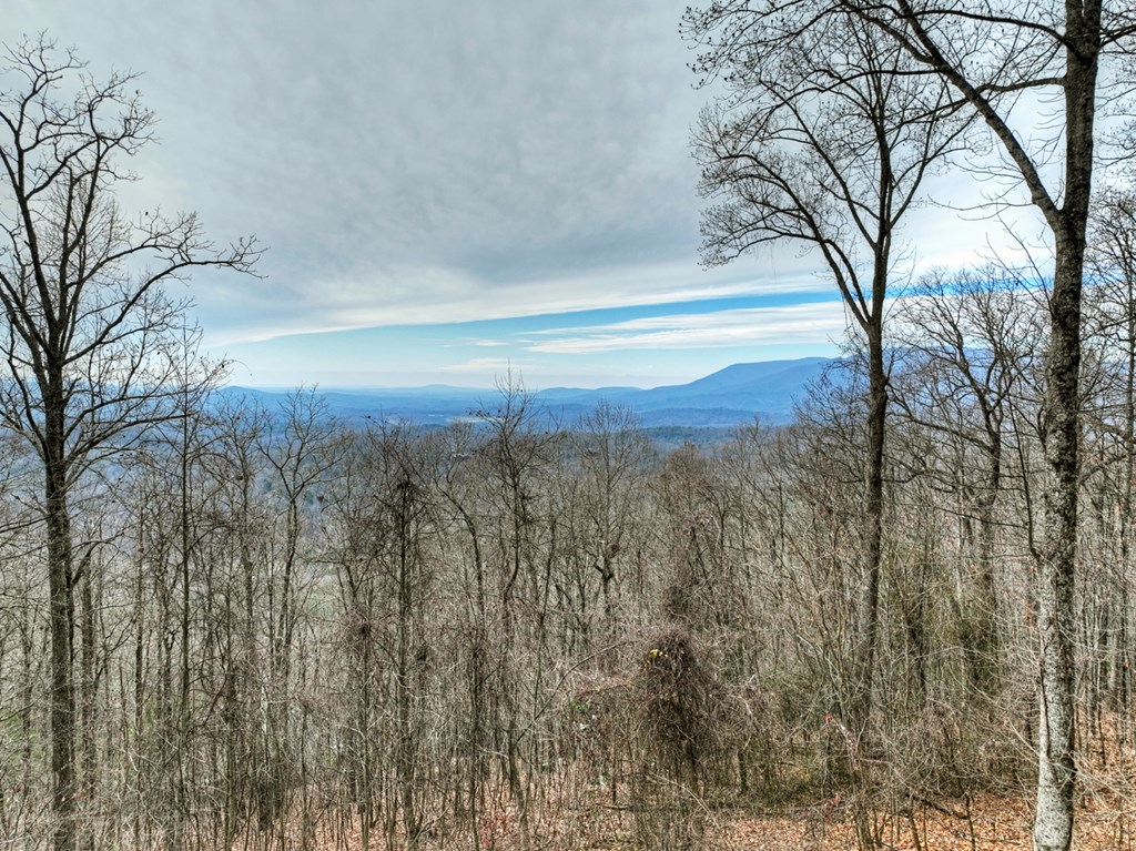 260 Observation Lane Blue Ridge, GA 30513 - Photo 84 of 100