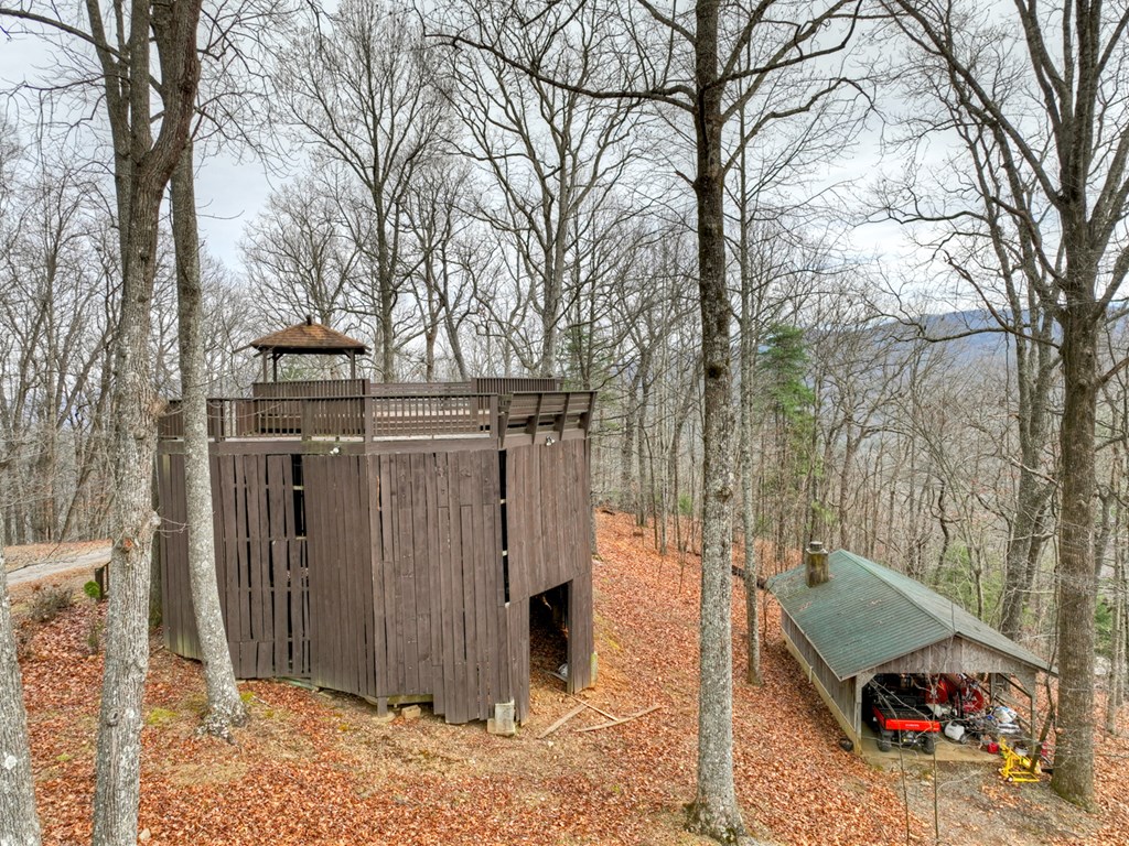 260 Observation Lane Blue Ridge, GA 30513 - Photo 85 of 100