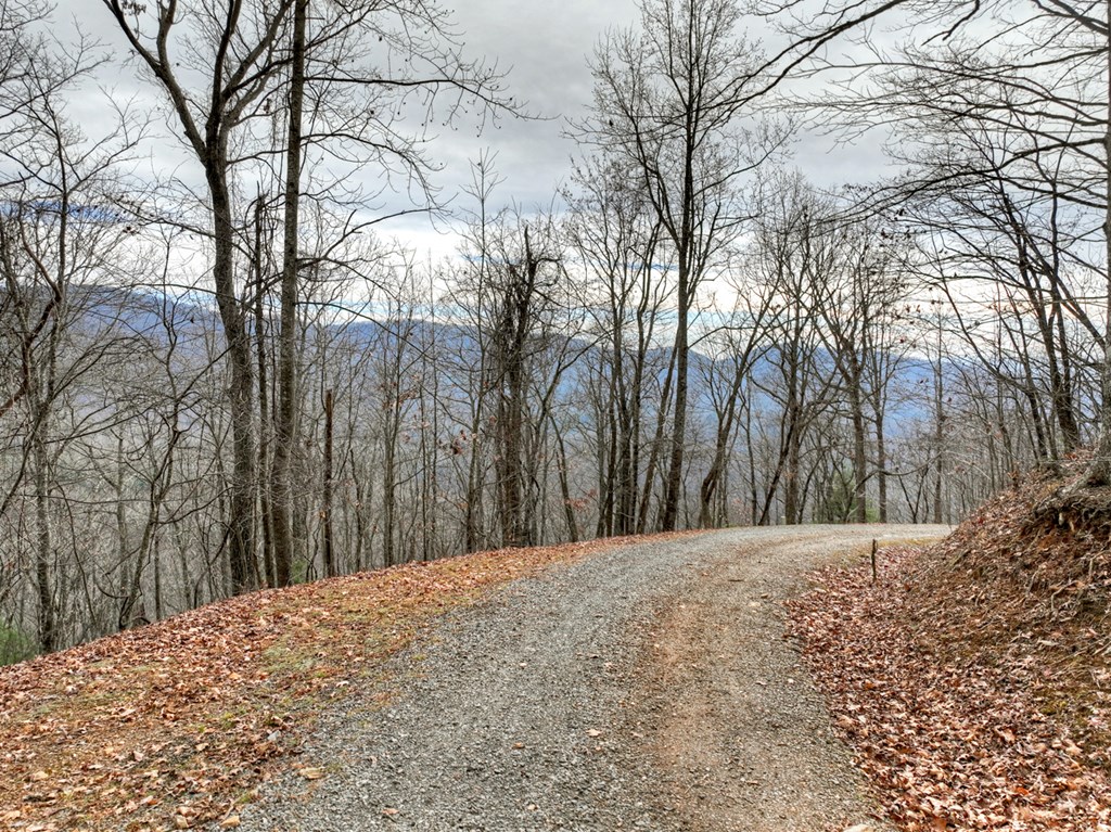 260 Observation Lane Blue Ridge, GA 30513 - Photo 86 of 100 a view of a yard with trees