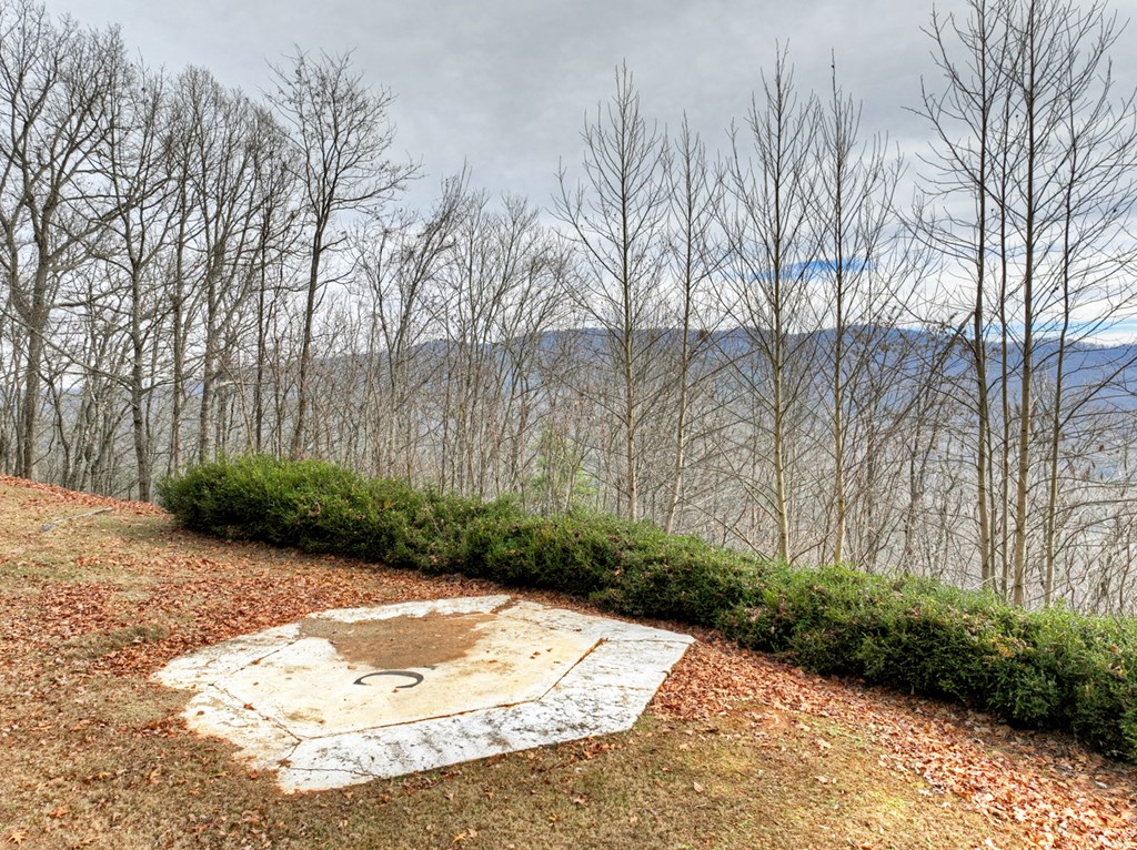 260 Observation Lane Blue Ridge, GA 30513 - Photo 87 of 100