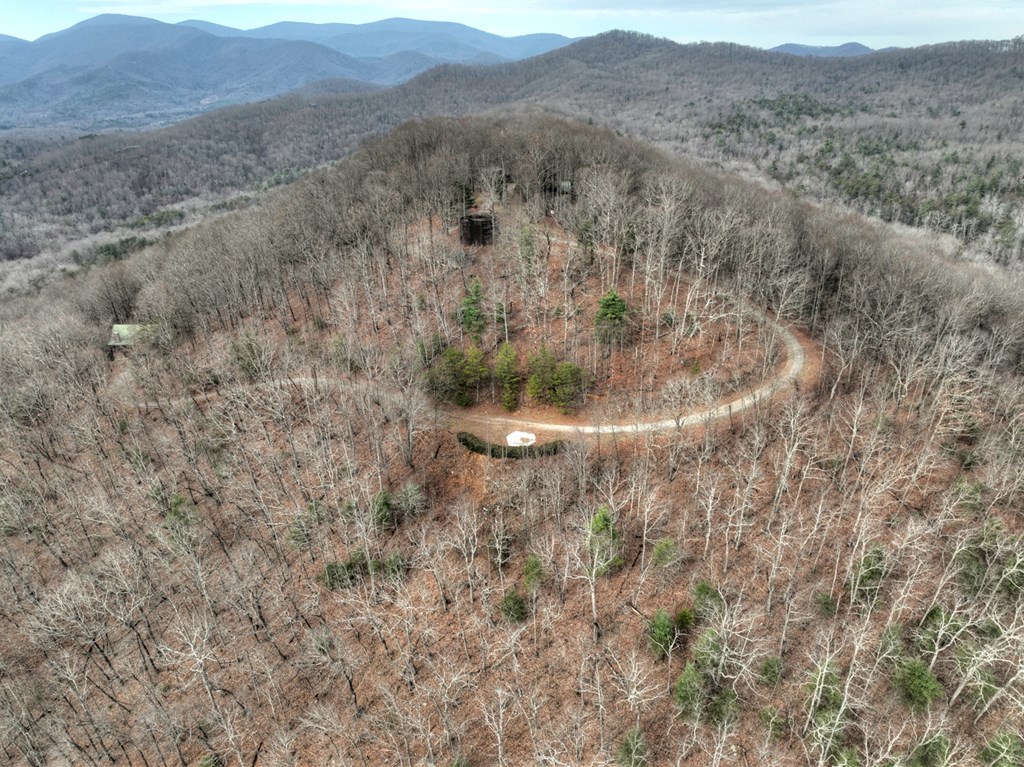 260 Observation Lane Blue Ridge, GA 30513 - Photo 88 of 100 a view of a dry field with mountains in the background