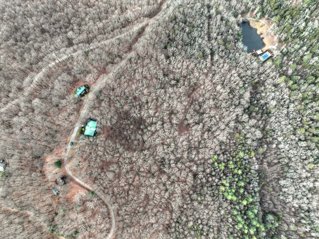 260 Observation Lane Blue Ridge, GA 30513 - Photo 89 of 100