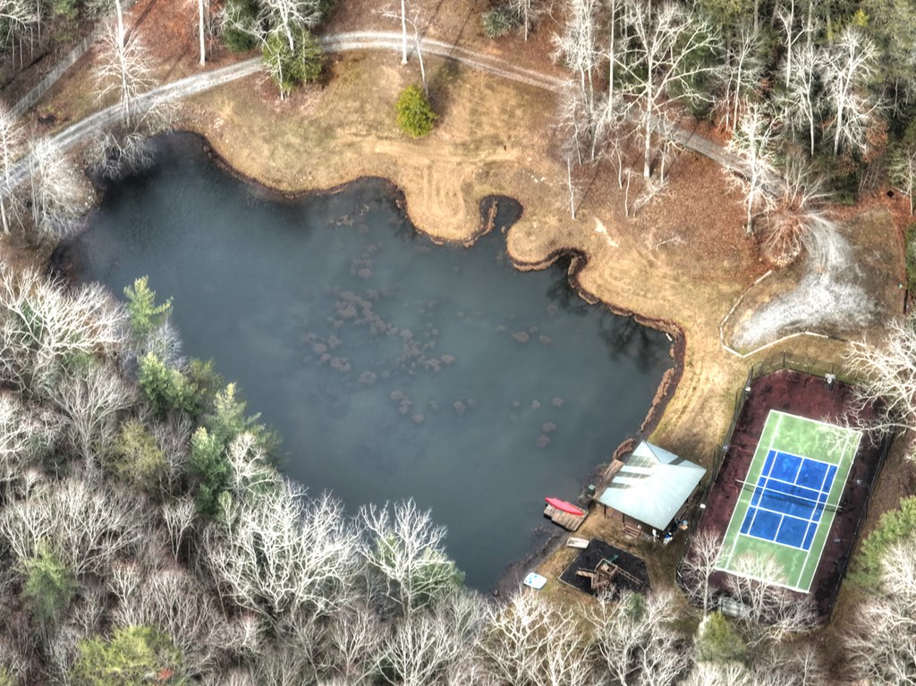 260 Observation Lane Blue Ridge, GA 30513 - Photo 90 of 100