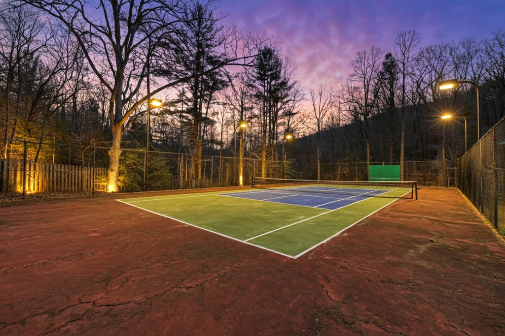 260 Observation Lane Blue Ridge, GA 30513 - Photo 9 of 100