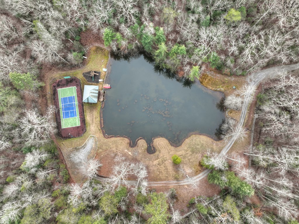 260 Observation Lane Blue Ridge, GA 30513 - Photo 92 of 100