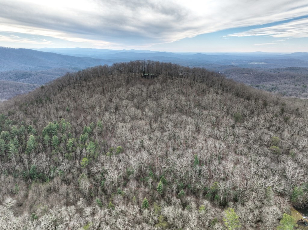 260 Observation Lane Blue Ridge, GA 30513 - Photo 93 of 100