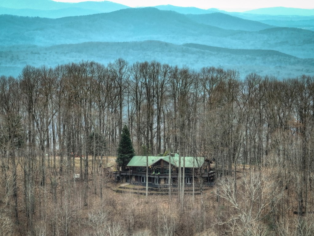 260 Observation Lane Blue Ridge, GA 30513 - Photo 94 of 100 a backyard of a house with table and chairs