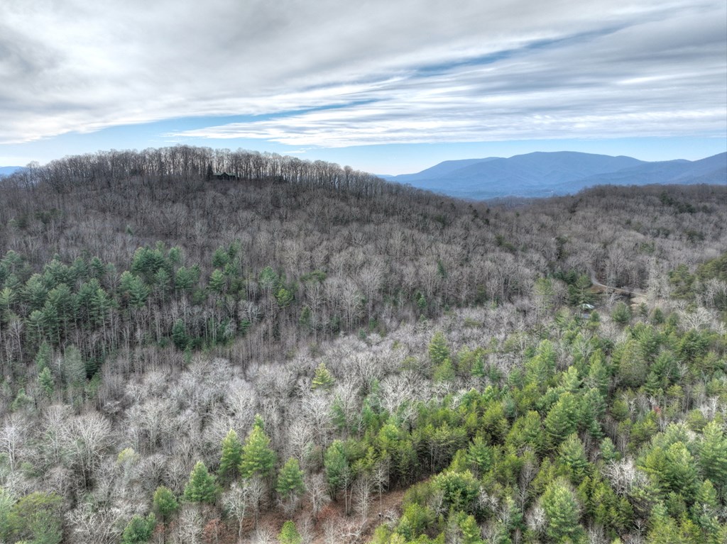 260 Observation Lane Blue Ridge, GA 30513 - Photo 95 of 100