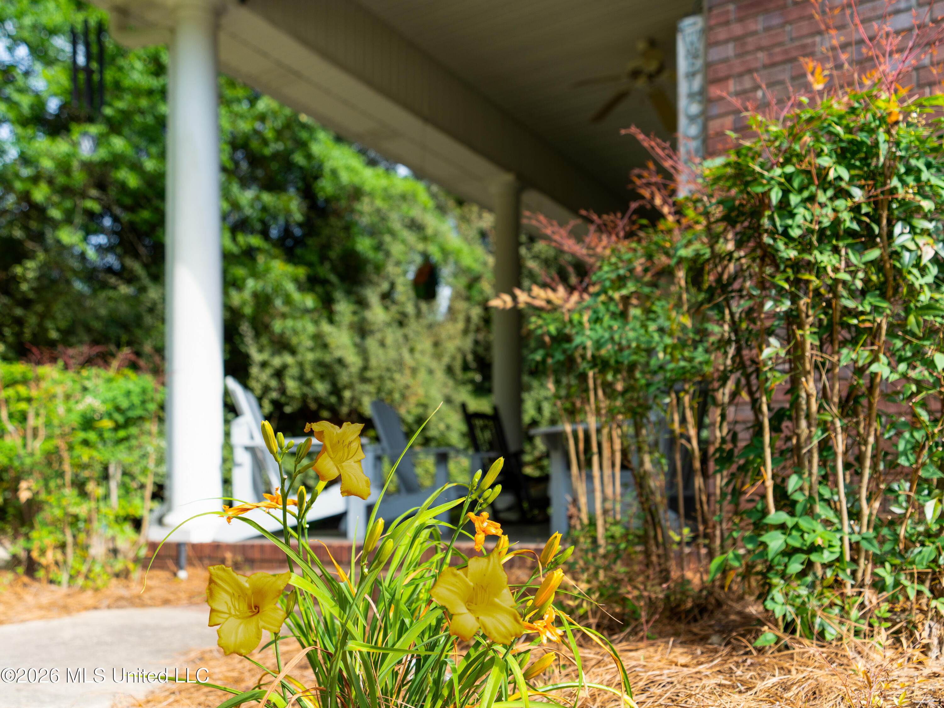 336 Toby Landrum Road Waynesboro, MS 39367 - Photo 89 of 106 A7403296