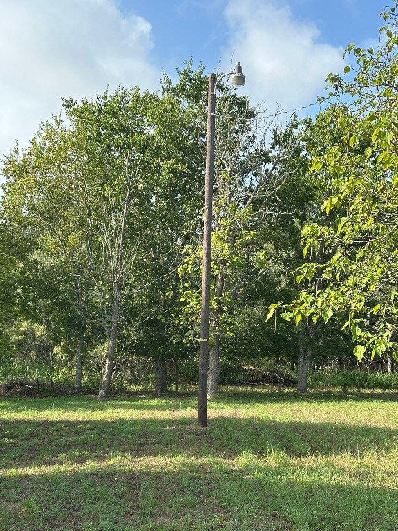 111 Martin Street Luling, TX 78648 - Photo 5 of 8 a garden with trees in front of it
