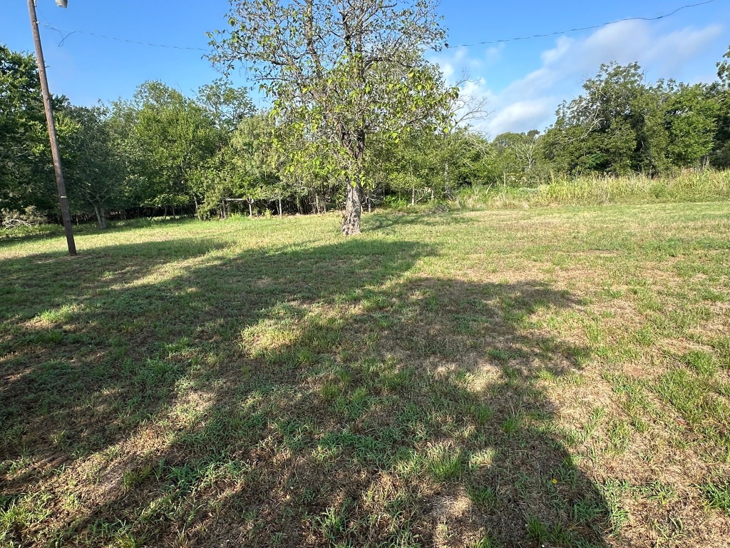 111 Martin Street Luling, TX 78648 - Photo 6 of 8 a view of a green field with trees