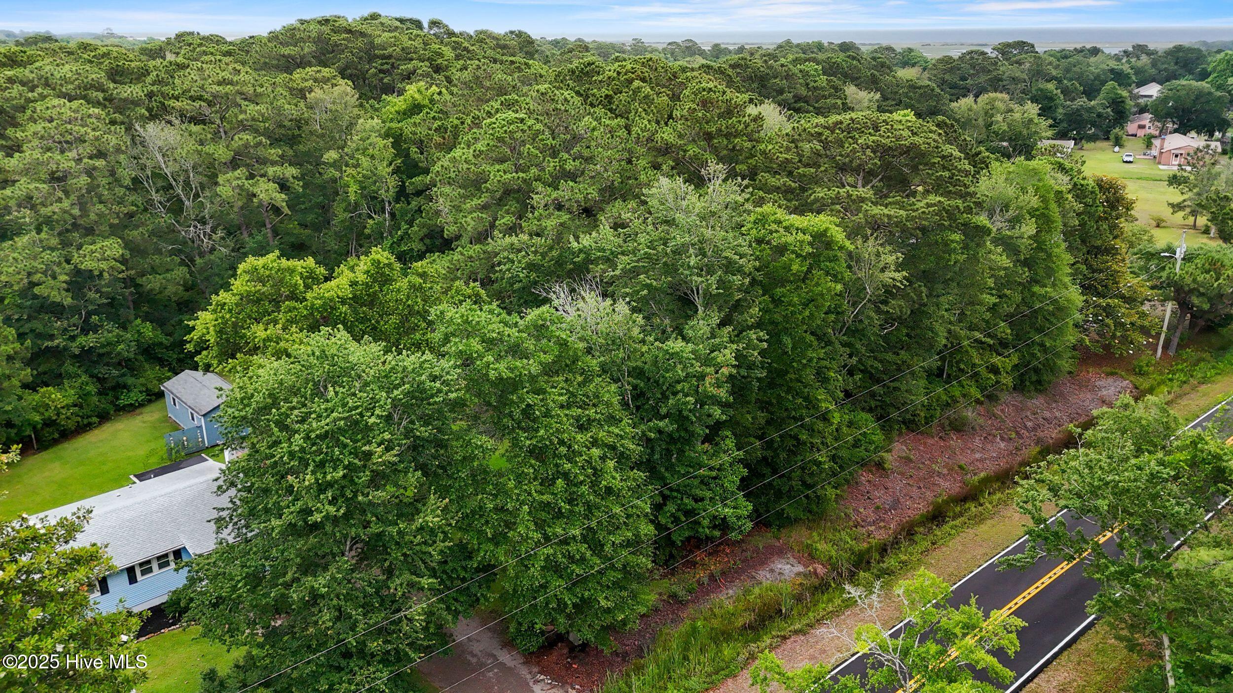 833 North Seabreeze Road Wilmington, NC 28409 - Photo 4 of 7 833 Seabreeze lot Side (2)
