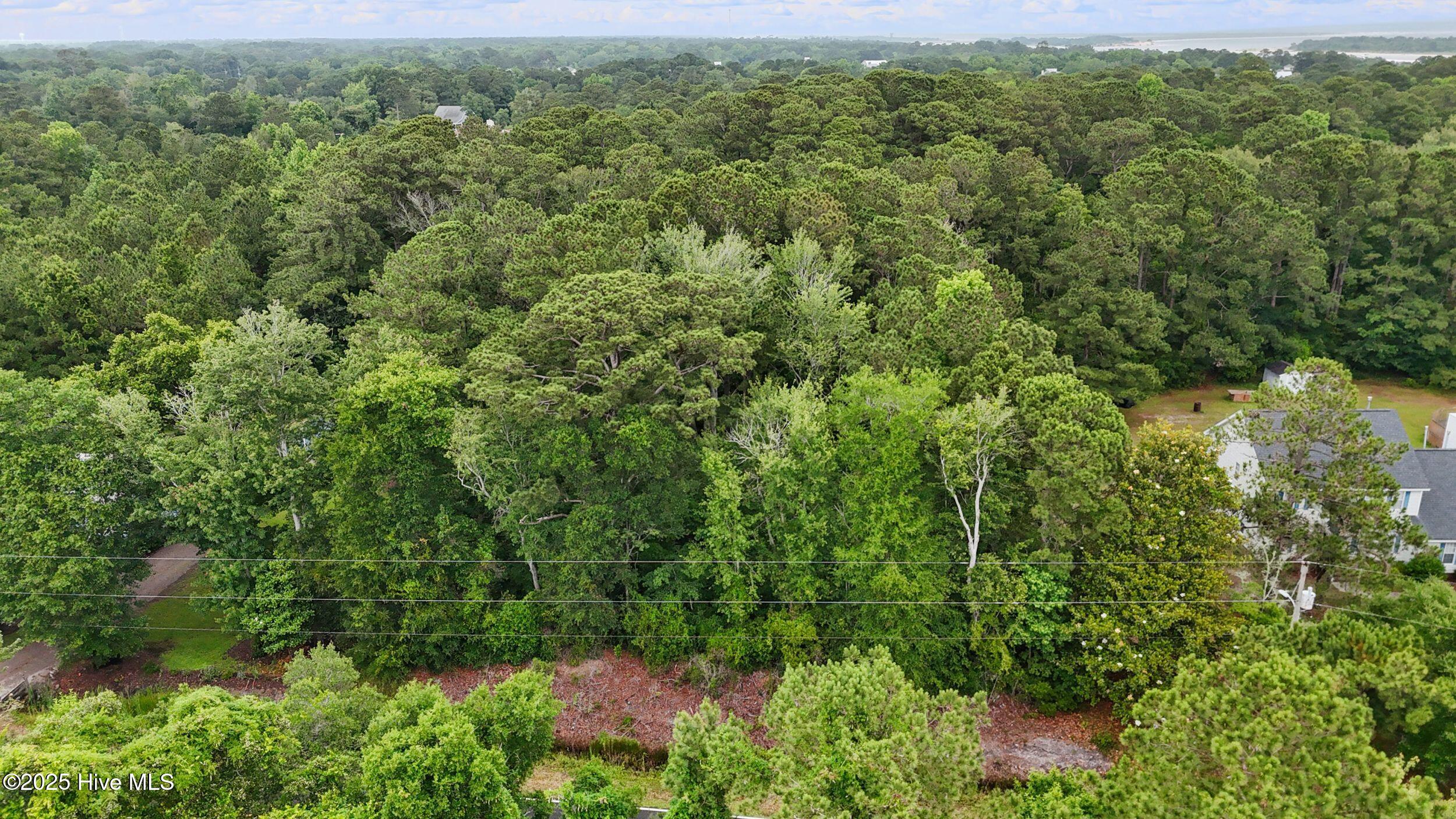 833 North Seabreeze Road Wilmington, NC 28409 - Photo 7 of 7 833 Seabreeze Lot front.