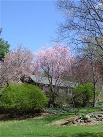 84 Monson Road Wilbraham, MA 01095 - Photo 24 of 25