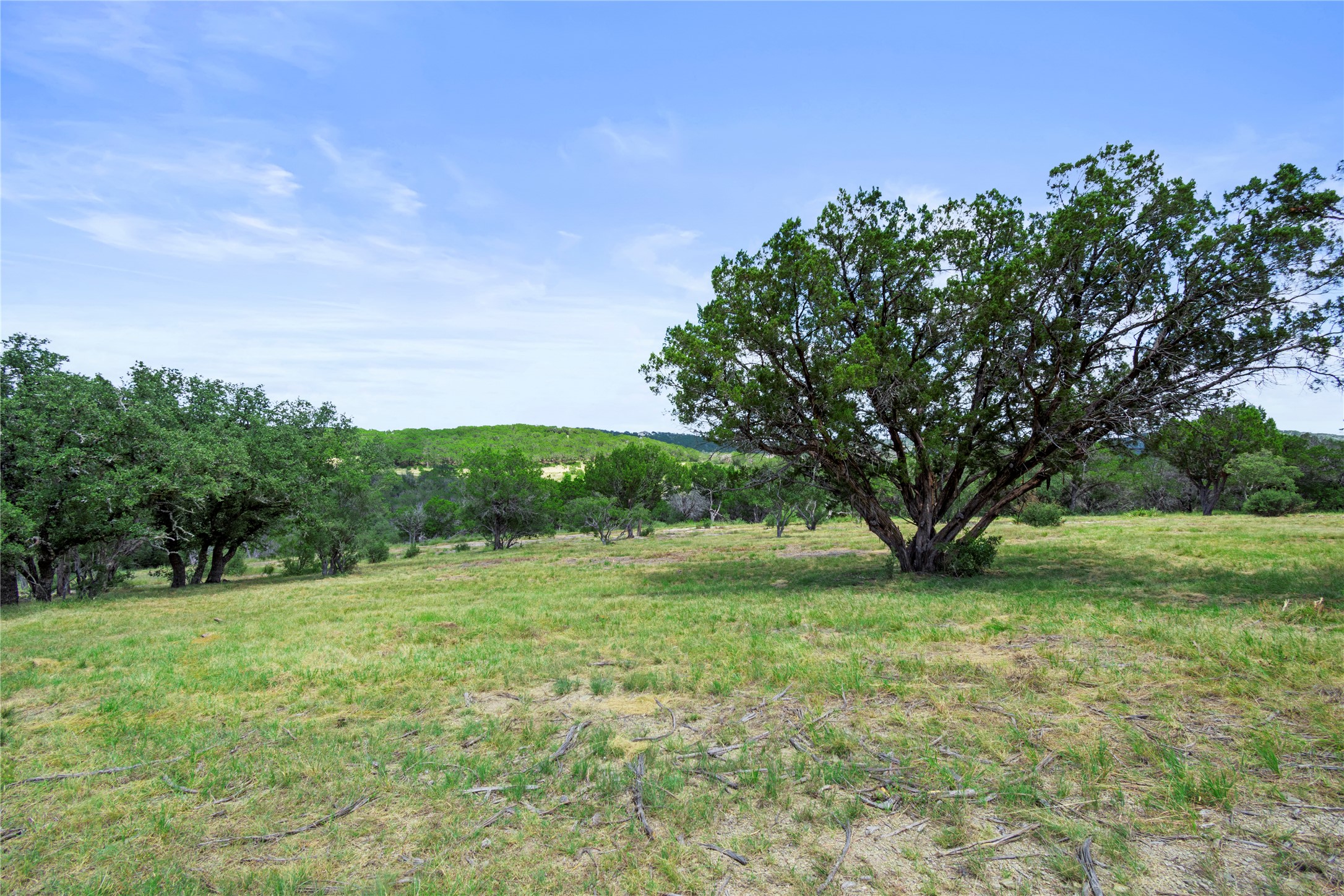 2341 Ranch N Burnet Tx 78611 Ranch North Burnet, TX 78611 - Photo 2 of 27 Multiple, cleared gorgeous build sites with views & live oaks from Mountain Laurel Lane side of property (cul de sac entrance)