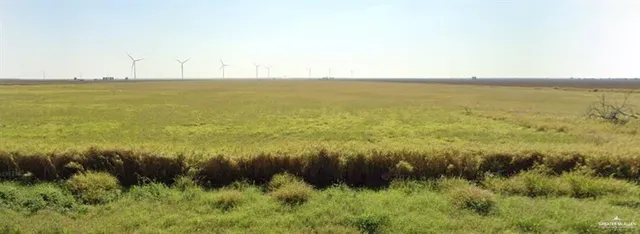 a view of lake and green space