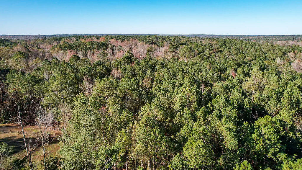 1203 Miles Road Harlem, GA 30814 - Photo 12 of 13 1203_Miles_Rd_12