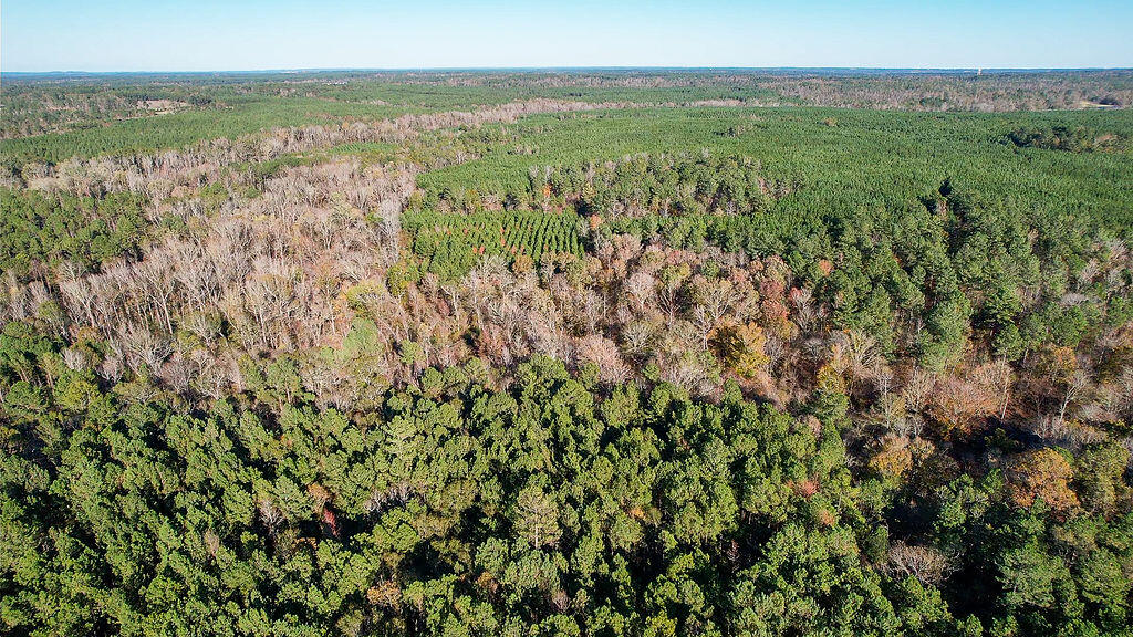 1203 Miles Road Harlem, GA 30814 - Photo 13 of 13 1203_Miles_Rd_13